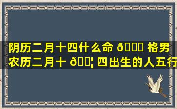 阴历二月十四什么命 🐒 格男「农历二月十 🐦 四出生的人五行缺什么」